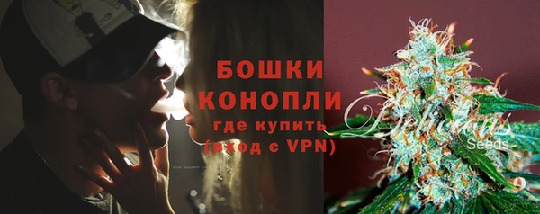 spice Арсеньев