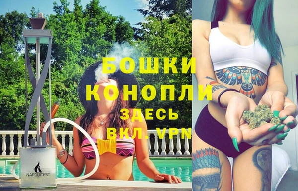 spice Арсеньев