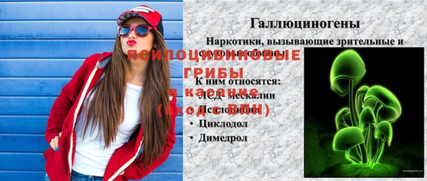 spice Арсеньев