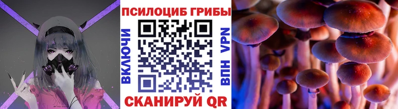 Псилоцибиновые грибы ЛСД  гидра tor  Находка  закладка 