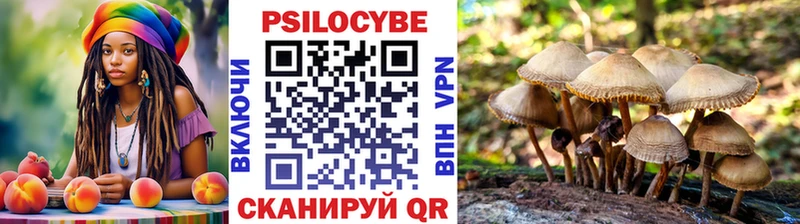 Псилоцибиновые грибы мицелий Находка